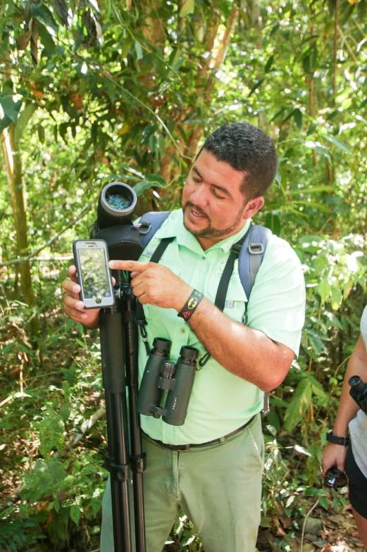 Epic Adventures guide showing wildlife through a spotting scope in the rainforest