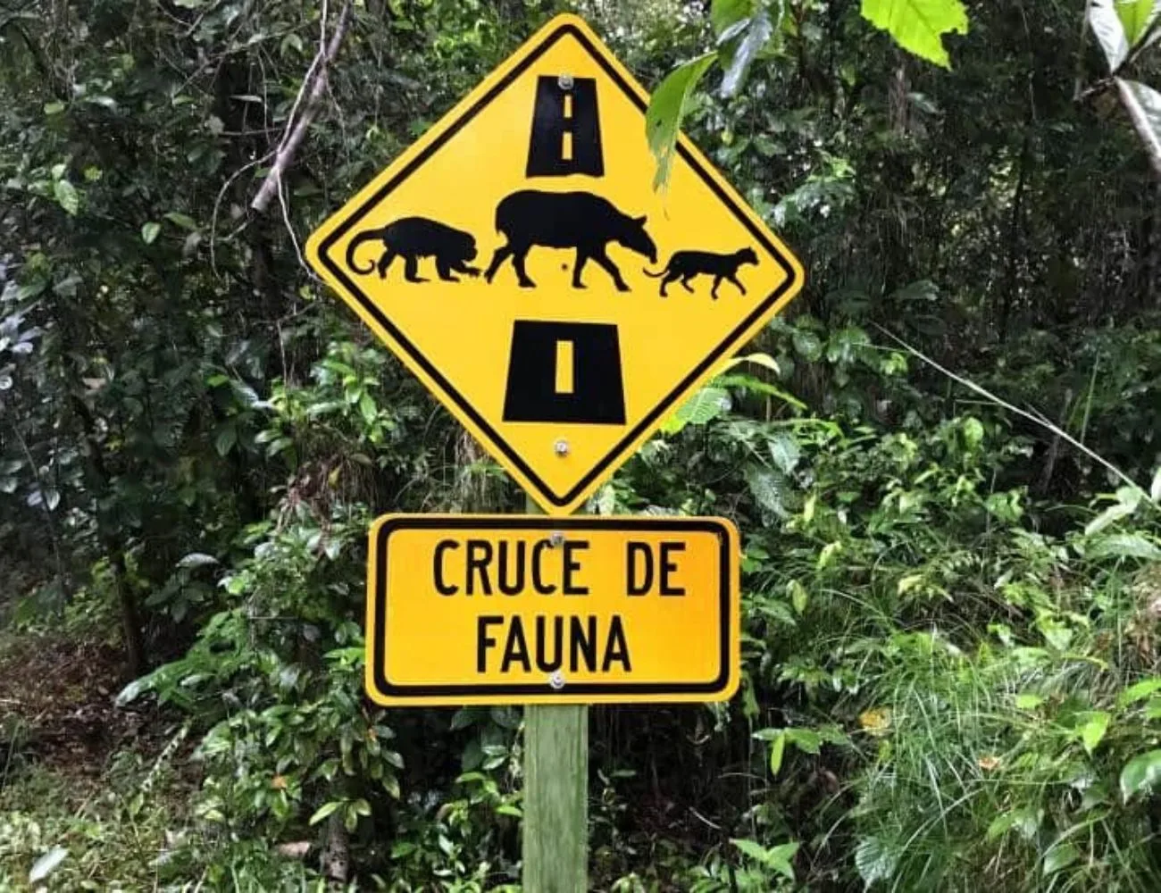 Pacific Hurricane Season: What It Means for Quepos and Manuel Antonio